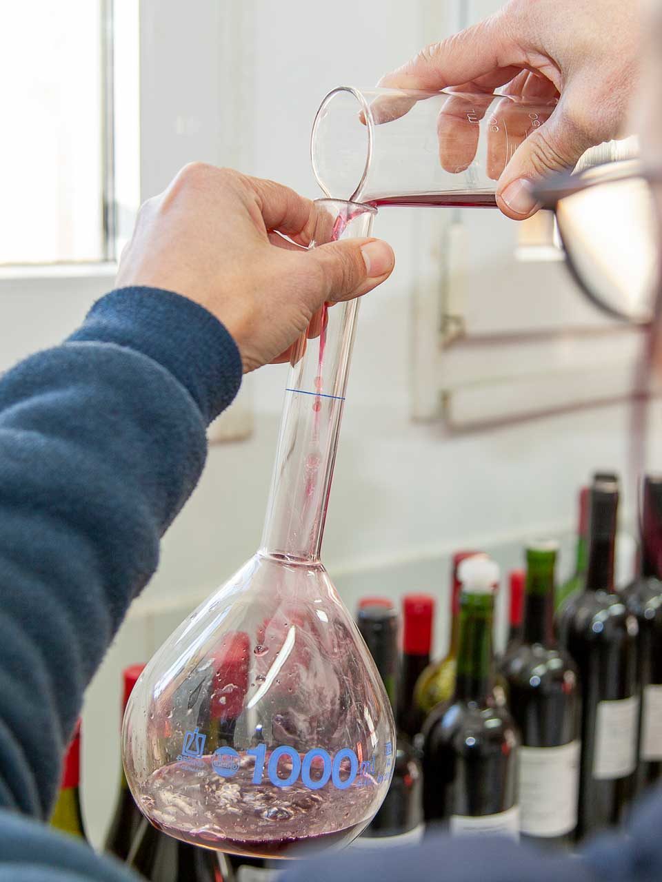 Nos activités de négoce de vin en vrac Cépage de Méditerranée